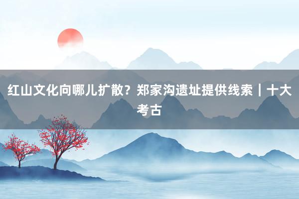 红山文化向哪儿扩散？郑家沟遗址提供线索｜十大考古