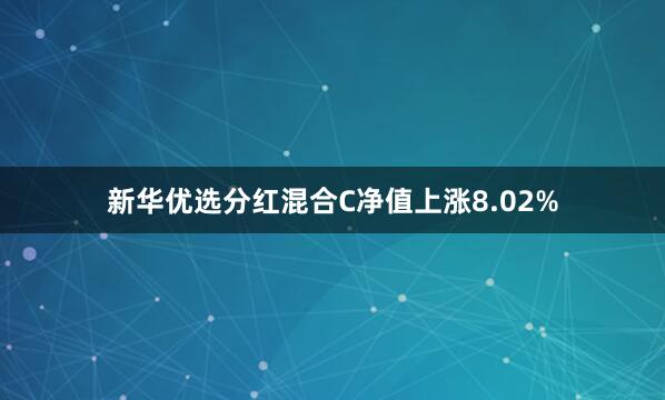 新华优选分红混合C净值上涨8.02%