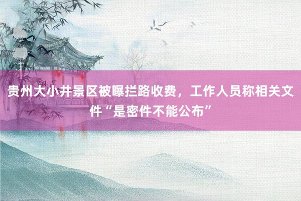 贵州大小井景区被曝拦路收费，工作人员称相关文件“是密件不能公布”