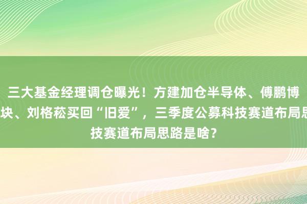 三大基金经理调仓曝光！方建加仓半导体、傅鹏博减持光模块、刘格菘买回“旧爱”，三季度公募科技赛道布局思路是啥？