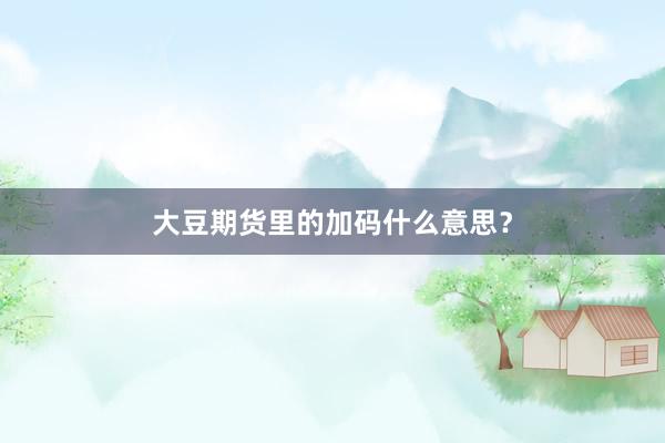 大豆期货里的加码什么意思？