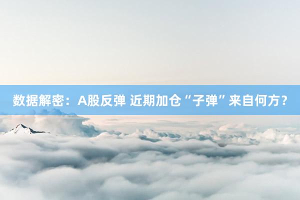 数据解密：A股反弹 近期加仓“子弹”来自何方？