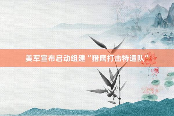 美军宣布启动组建“猎鹰打击特遣队”