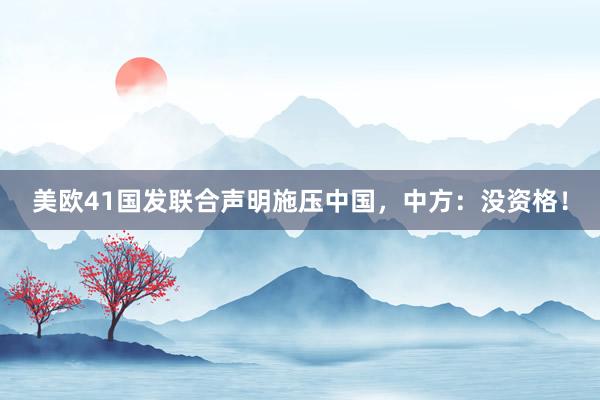 美欧41国发联合声明施压中国，中方：没资格！