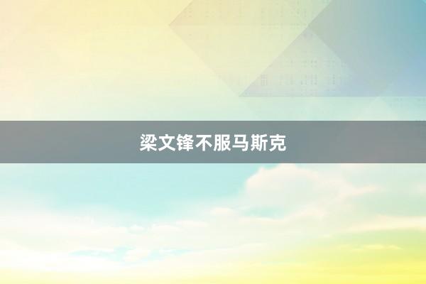 梁文锋不服马斯克
