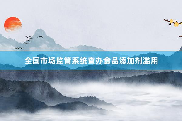 全国市场监管系统查办食品添加剂滥用