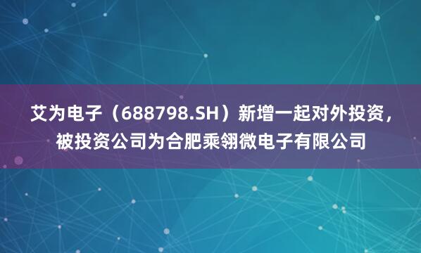 艾为电子（688798.SH）新增一起对外投资，被投资公司为合肥乘翎微电子有限公司