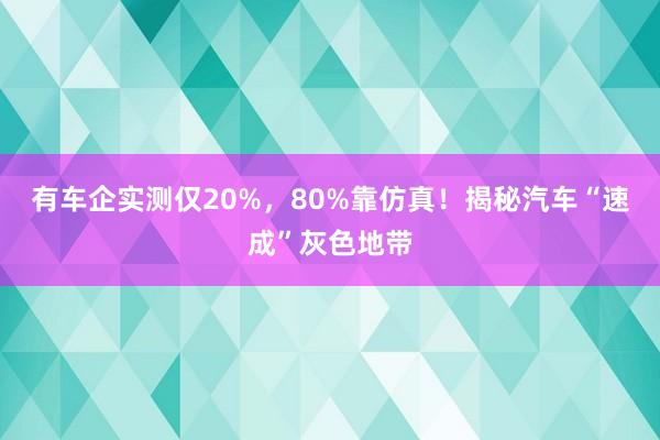 有车企实测仅20%，80%靠仿真！揭秘汽车“速成”灰色地带