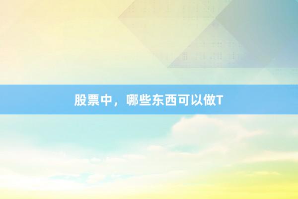 股票中，哪些东西可以做T