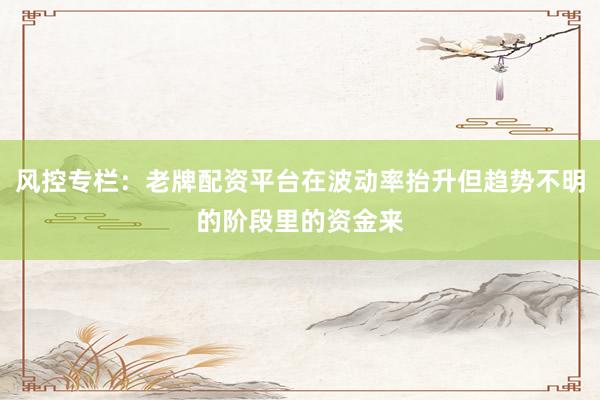 风控专栏：老牌配资平台在波动率抬升但趋势不明的阶段里的资金来