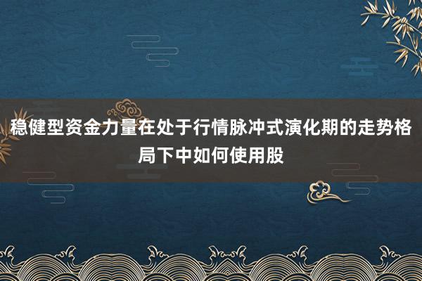 稳健型资金力量在处于行情脉冲式演化期的走势格局下中如何使用股