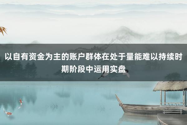 以自有资金为主的账户群体在处于量能难以持续时期阶段中运用实盘