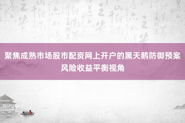 聚焦成熟市场股市配资网上开户的黑天鹅防御预案风险收益平衡视角