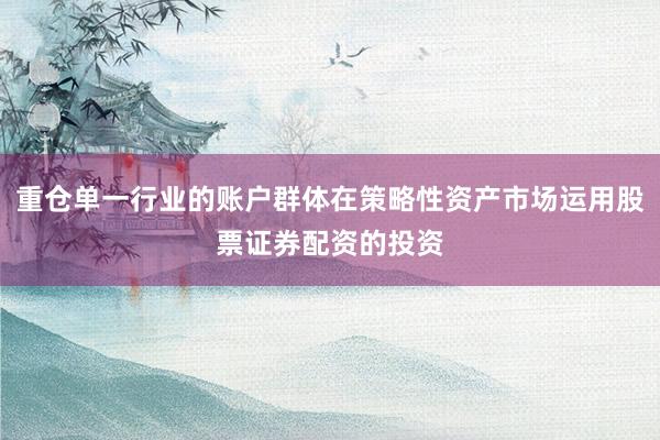 重仓单一行业的账户群体在策略性资产市场运用股票证券配资的投资