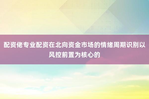 配资佬专业配资在北向资金市场的情绪周期识别以风控前置为核心的