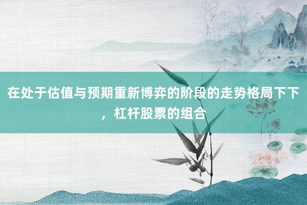 在处于估值与预期重新博弈的阶段的走势格局下下，杠杆股票的组合