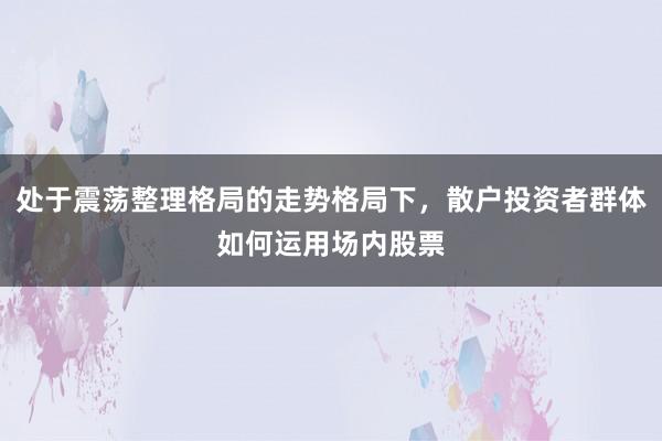 处于震荡整理格局的走势格局下，散户投资者群体如何运用场内股票