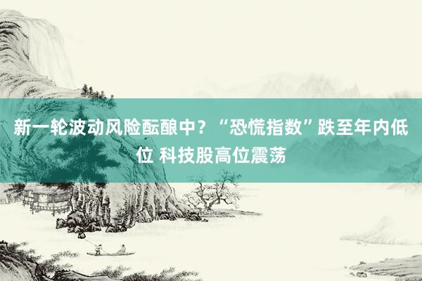 新一轮波动风险酝酿中？“恐慌指数”跌至年内低位 科技股高位震荡