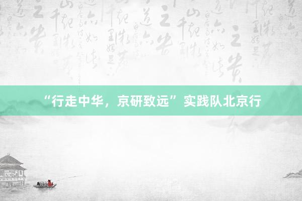 “行走中华，京研致远” 实践队北京行