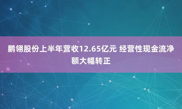 鹏翎股份上半年营收12.65亿元 经营性现金流净额大幅转正