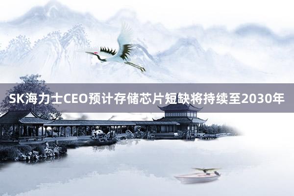 SK海力士CEO预计存储芯片短缺将持续至2030年