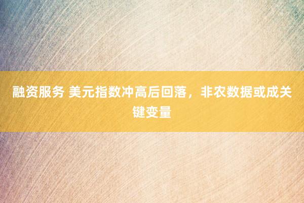融资服务 美元指数冲高后回落，非农数据或成关键变量