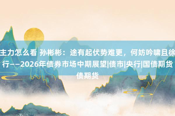 主力怎么看 孙彬彬：途有起伏势难更，何妨吟啸且徐行——2026年债券市场中期展望|债市|央行|国债期货