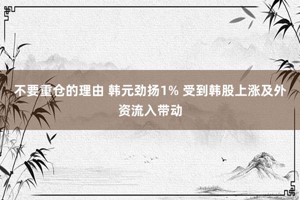 不要重仓的理由 韩元劲扬1% 受到韩股上涨及外资流入带动