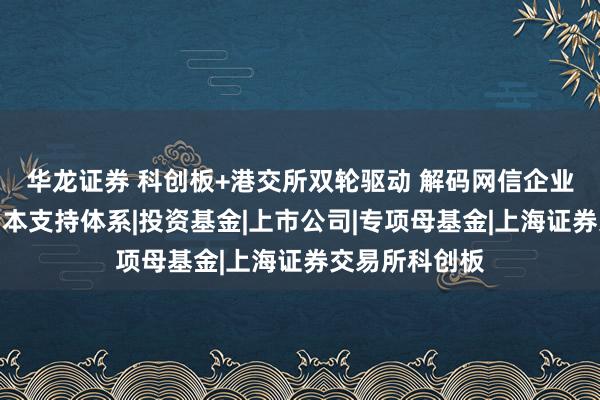 华龙证券 科创板+港交所双轮驱动 解码网信企业全生命周期资本支持体系|投资基金|上市公司|专项母基金|上海证券交易所科创板
