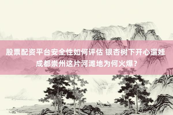 股票配资平台安全性如何评估 银杏树下开心遛娃 成都崇州这片河滩地为何火爆？
