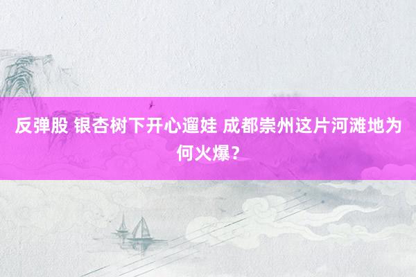 反弹股 银杏树下开心遛娃 成都崇州这片河滩地为何火爆？
