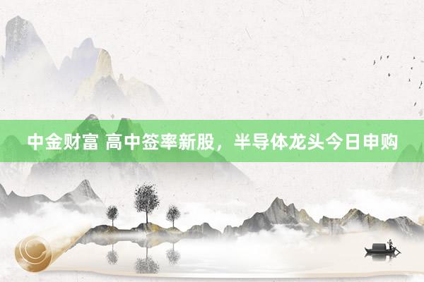 中金财富 高中签率新股，半导体龙头今日申购